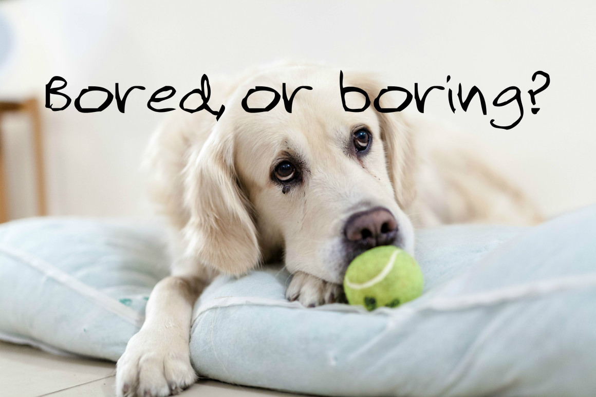 Are You Bored, or Boring?