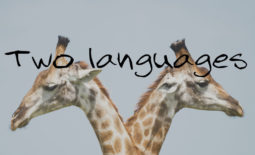 Two languages