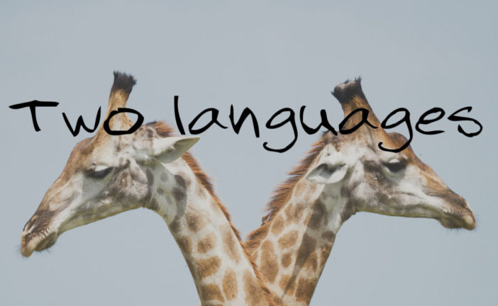 Two languages